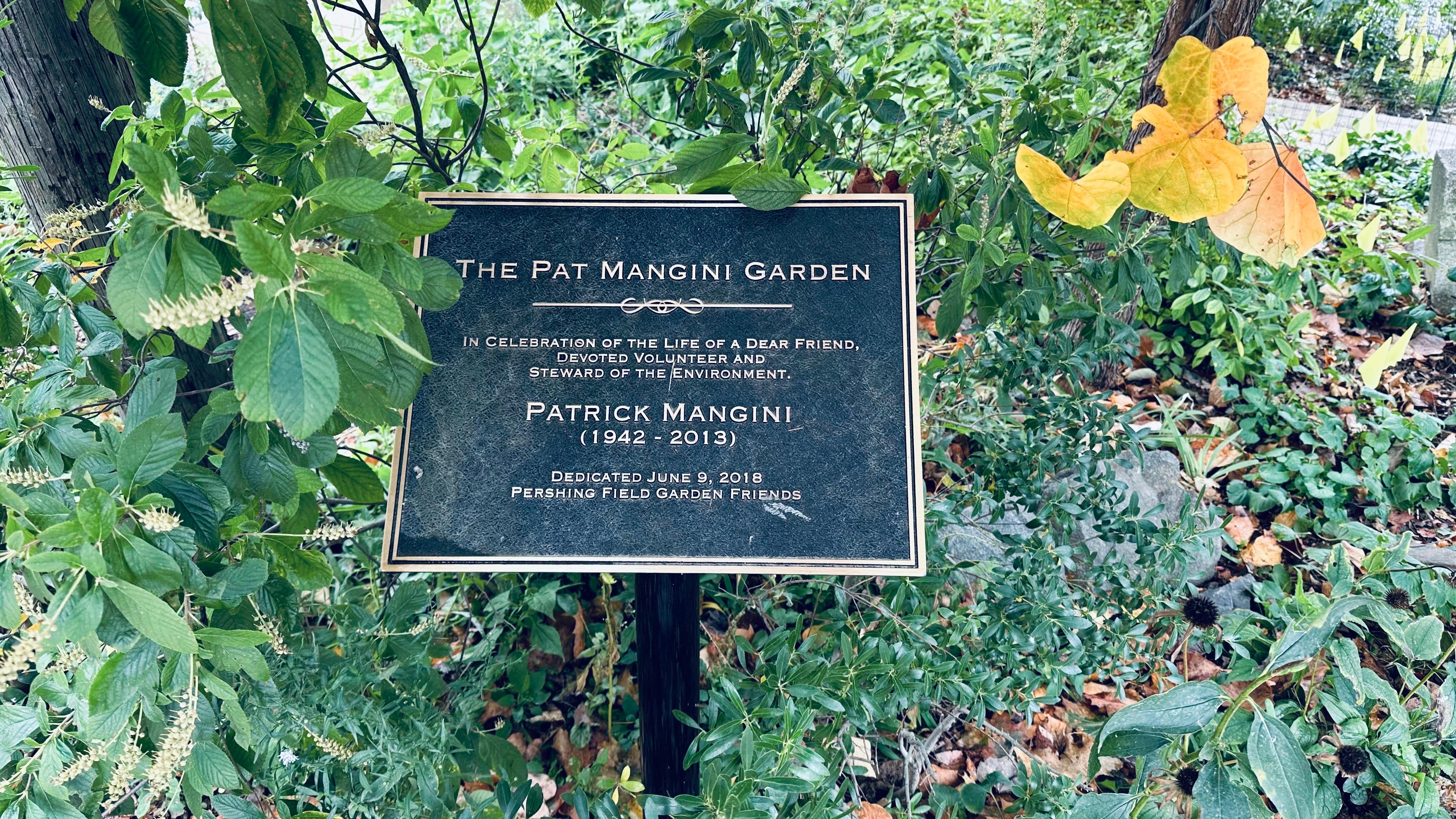 Garden maintenance day
