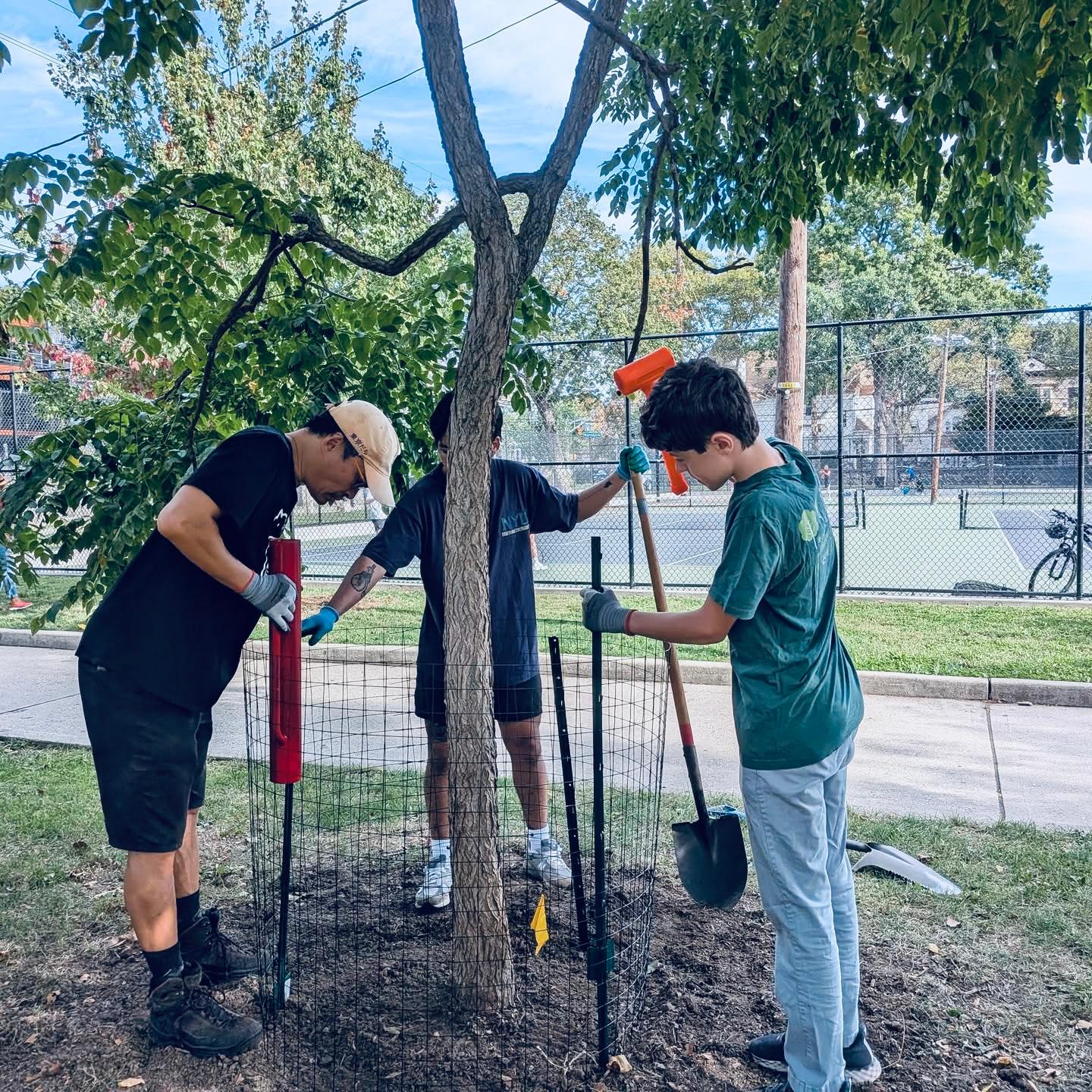 Volunteers working together